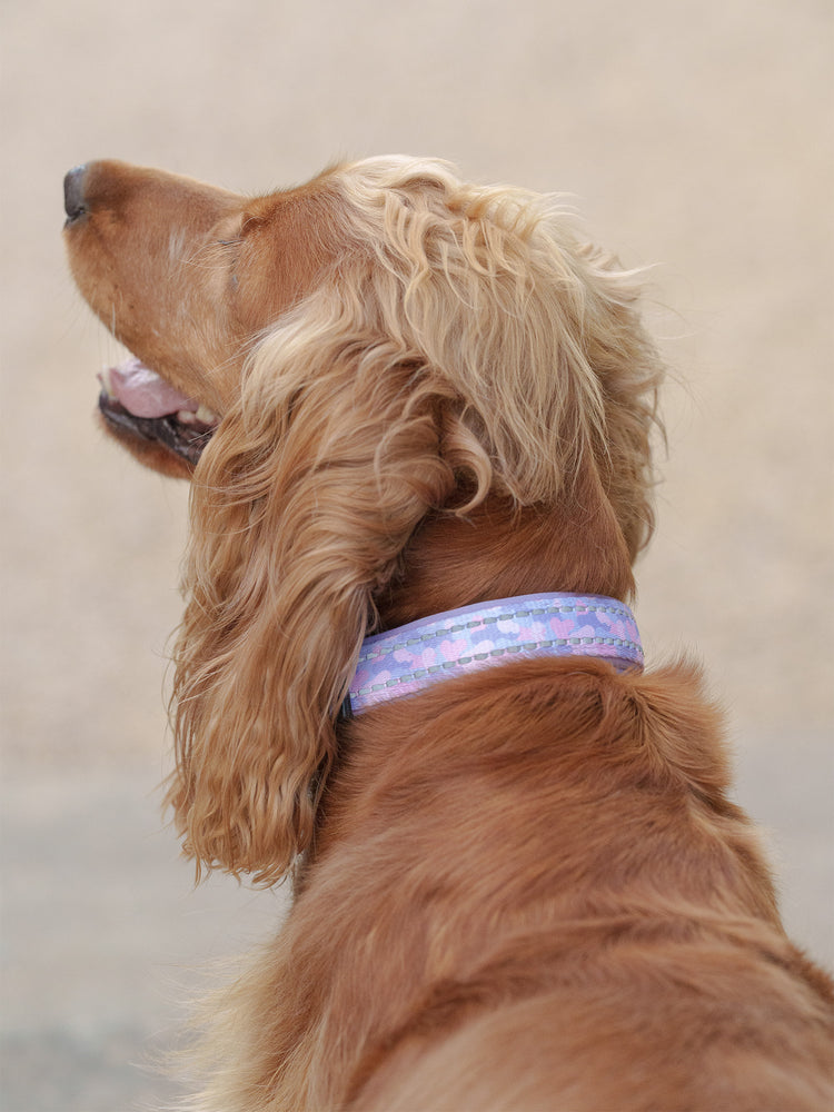 Amethyst Amour Collar