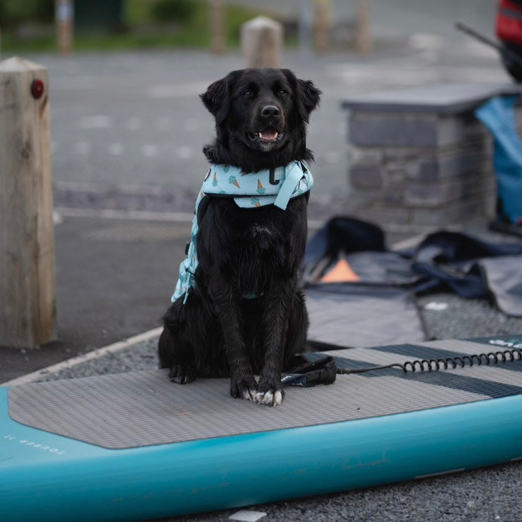 Iced Adventure Dog Float