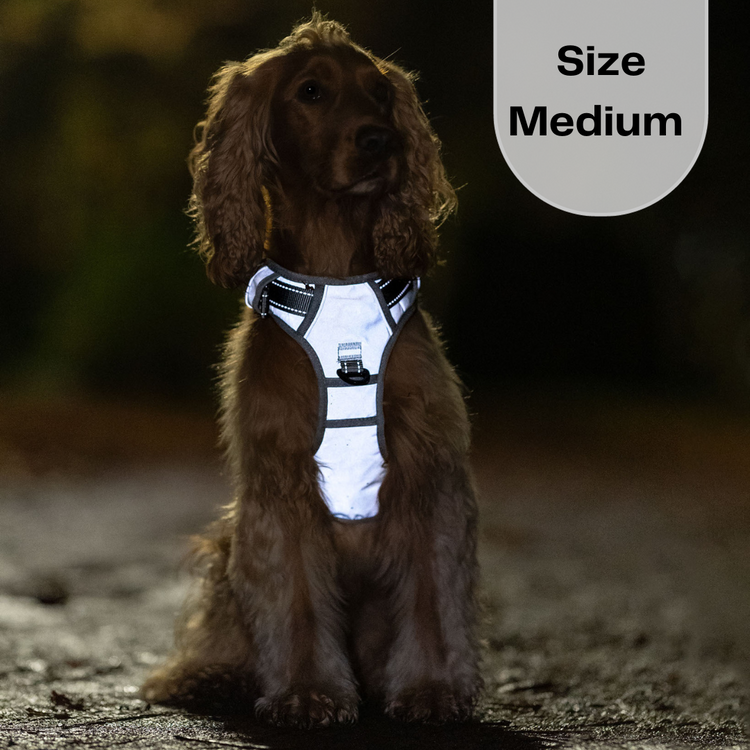 The Sirius Harness (Fully Reflective)