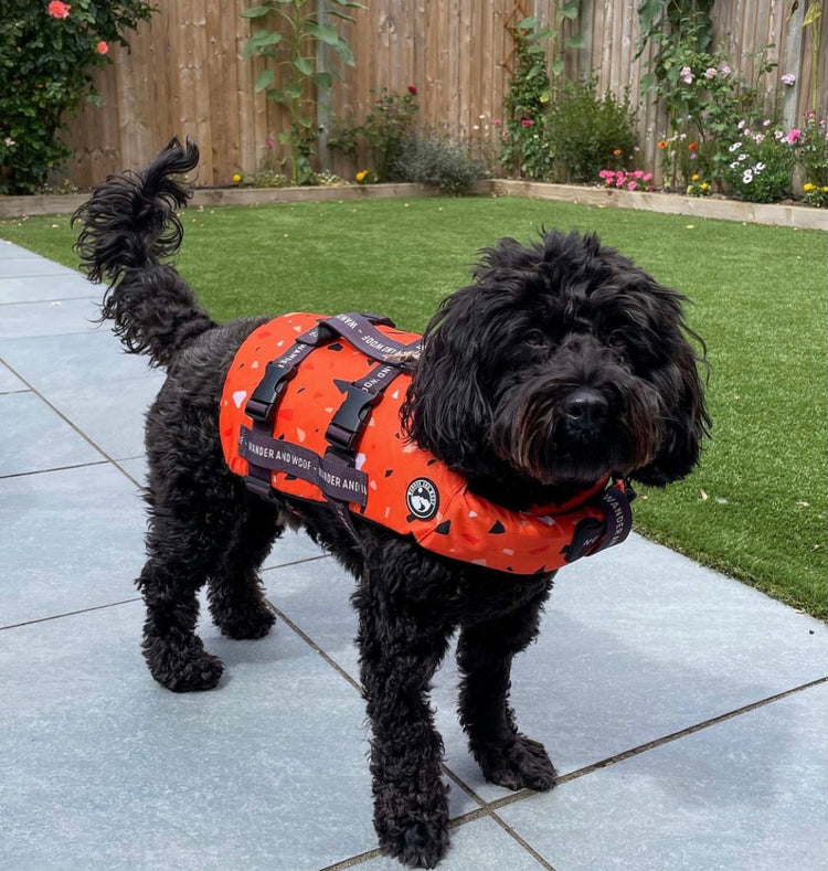 Tangerine Terrazzo Dog Float