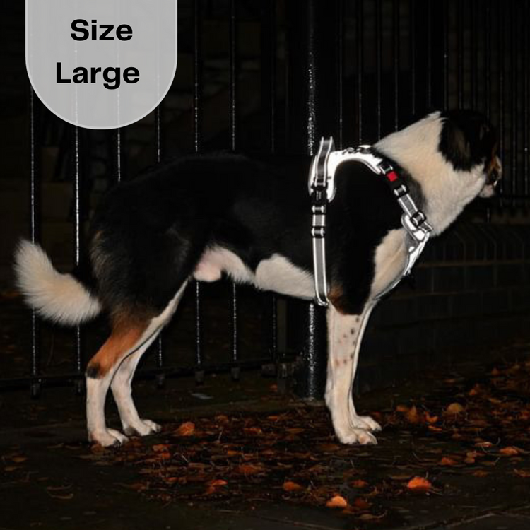 The Sirius Harness (Fully Reflective)