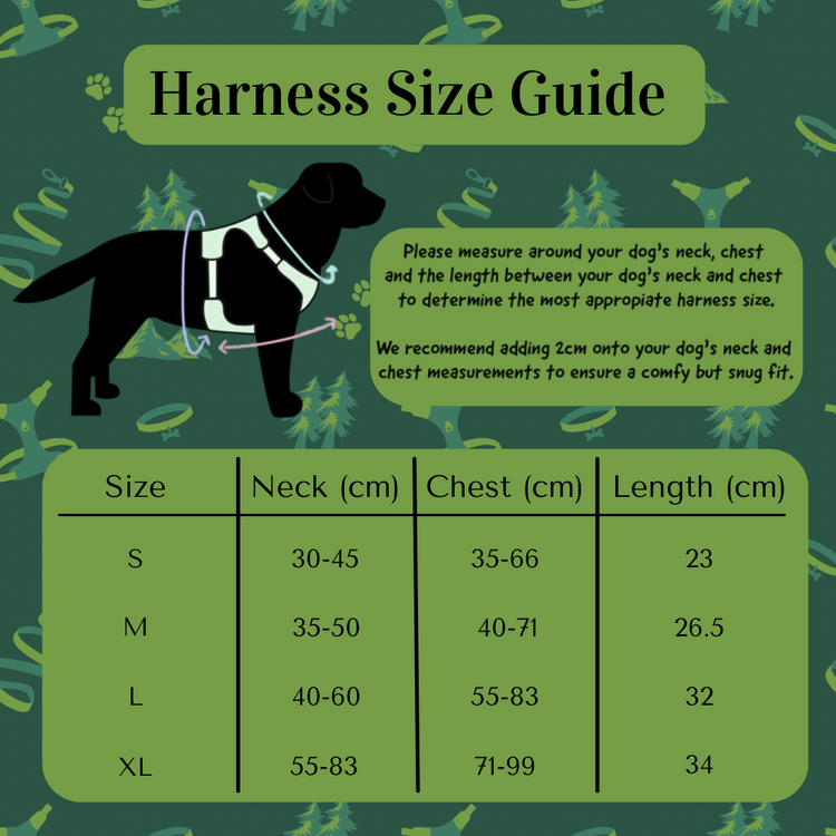 Ursa Major Harness