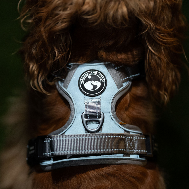 The Sirius Harness (Fully Reflective)