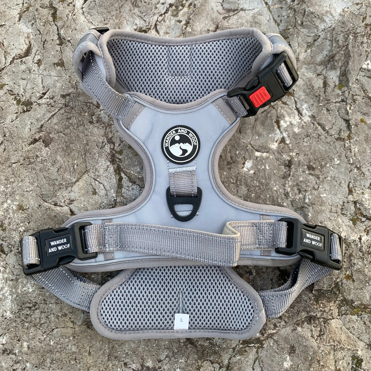 The Sirius Harness (Fully Reflective)