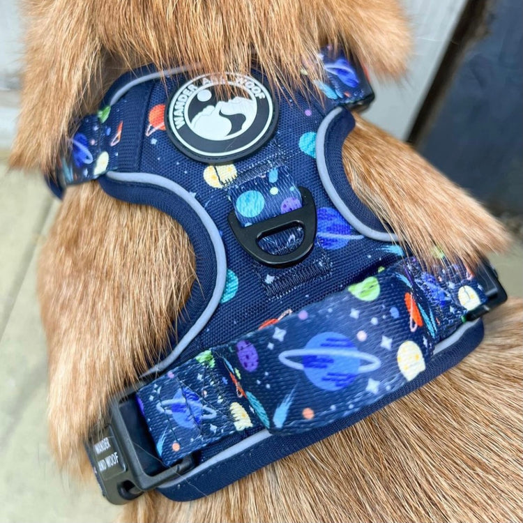 Cosmic Cadet Harness