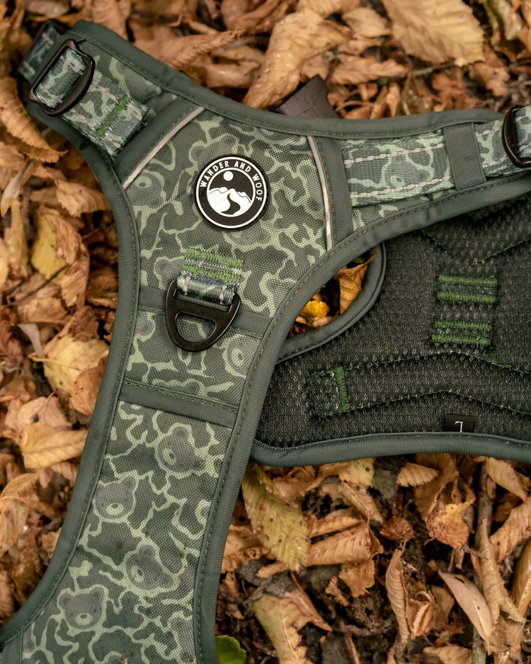 Ursa Major Harness