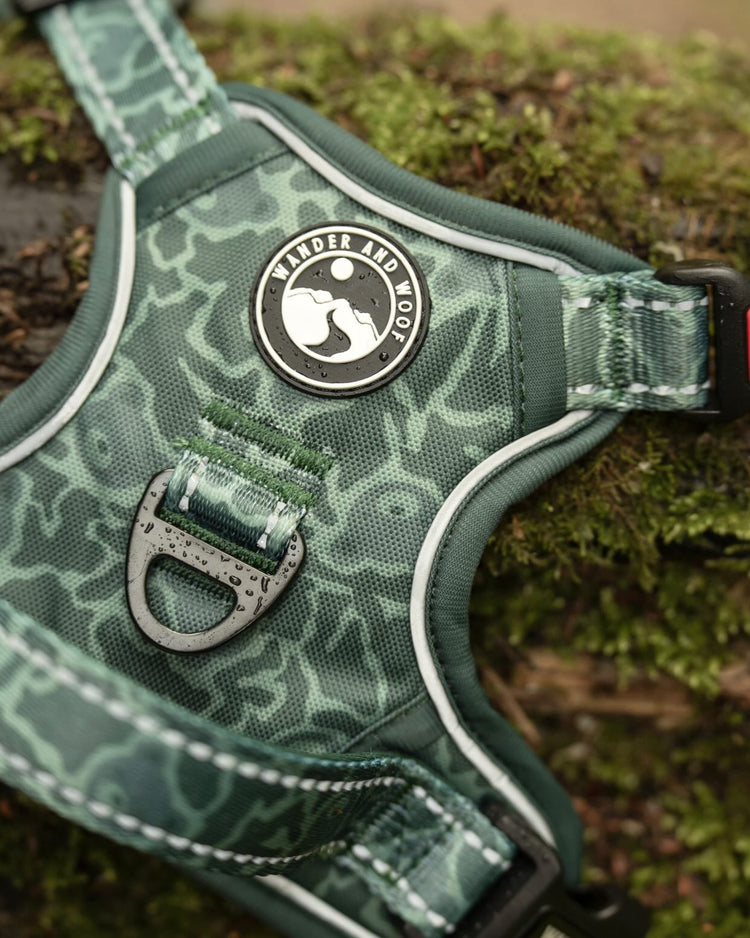 Ursa Major Harness