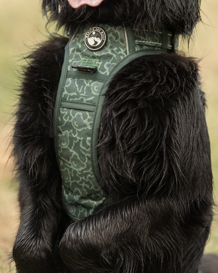 Ursa Major Harness