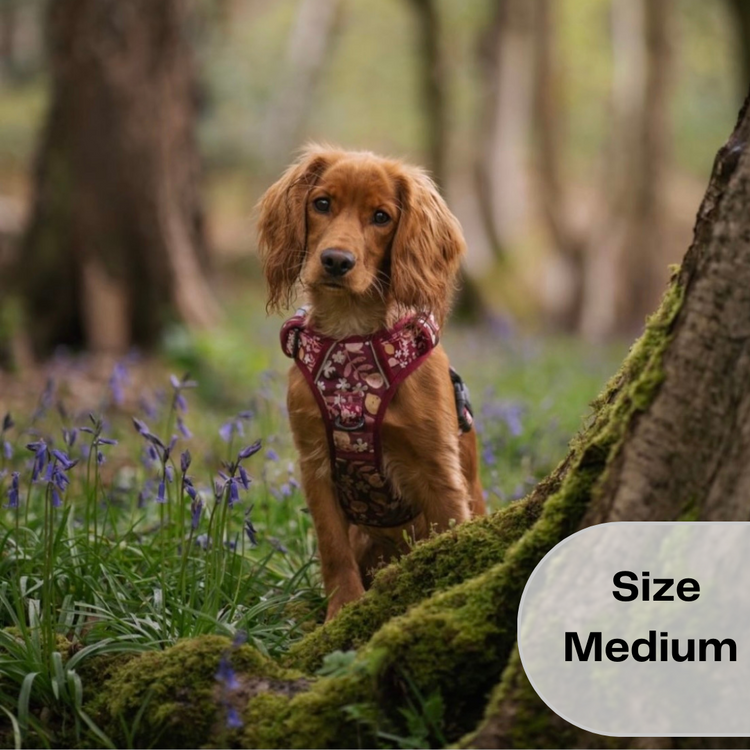 Burgundy Blooms Harness