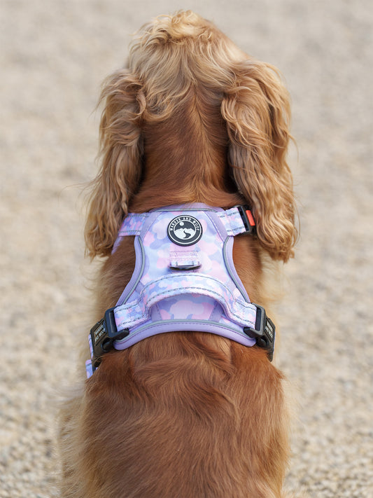 Amethyst Amour Harness
