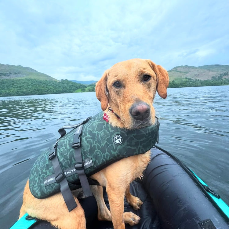 Ursa Major Dog Float