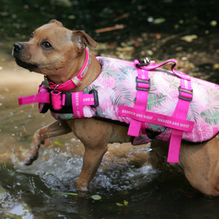 Dollys Paradise Dog Float