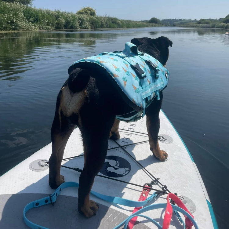 Iced Adventure Dog Float