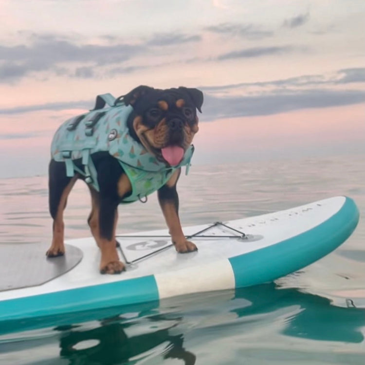 Iced Adventure Dog Float