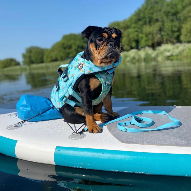 Iced Adventure Dog Float