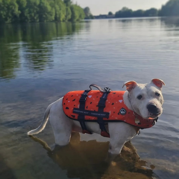 Tangerine Terrazzo Dog Float