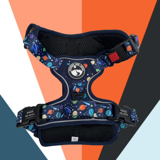 Cosmic Cadet Harness