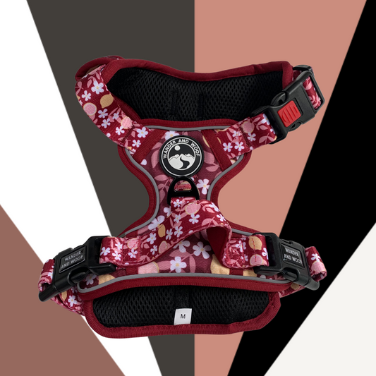 Burgundy Blooms Harness