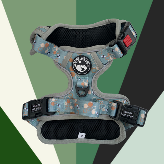 Honeycomb Hound Harness