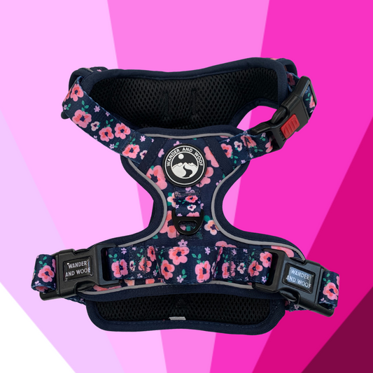 Petal Power Harness