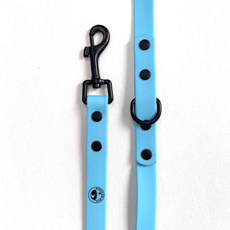 Light Blue Double Ended Waterproof Lead